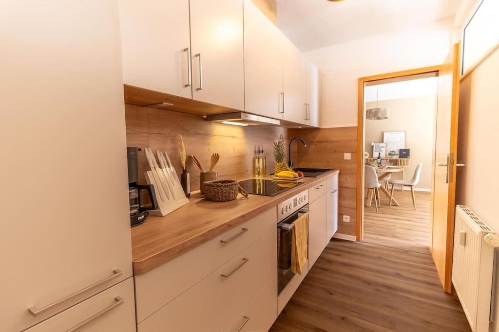 Innenstadt Appartement *Garten* 드레스덴 외부 사진